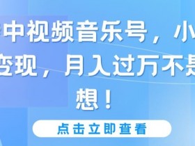 玩转中视频音乐号，小白副业变现，月入过万不是幻想【揭秘】
