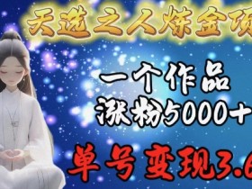 天选之人炼金项目，一个作品涨粉5000+，单号变现3.6w【揭秘】