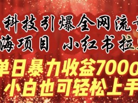 蓝海项目!黑科技引爆全网流量小红书拉新，单日暴力收益7000+，小白也能轻松上手【揭秘】