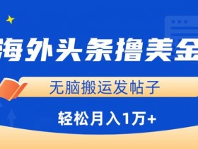 海外头条撸美金，无脑搬运发帖子，月入1万+，小白轻松掌握【揭秘】