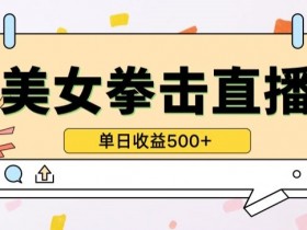 无人直播美女打拳单日收益500+，收益稳定，快速变现，小白最适合做的项目，保姆式教学【揭秘】