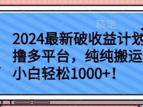 2024最新破收益计划撸多平台，纯纯搬运，小白轻松1000+【揭秘】
