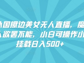 快手外国擦边美女无人直播，魔幻声音男人欲罢不能，小白可操作小铃铛挂载日入500+【揭秘】