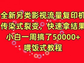 全新另类影视流量复印机，传染式裂变，快速拿结果，小白一周搞了50000+，喂饭式教程【揭秘】
