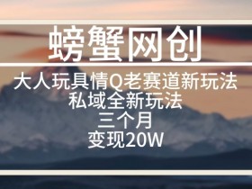 大人玩具情Q用品赛道私域全新玩法，三个月变现20W，老项目新思路【揭秘】