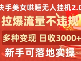 快手美女哄睡无人自动运行2.0.拉爆流量不违规，多种变现途径，日收3000+，新手可落地实操【揭秘】