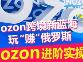 ozon跨境新蓝海玩“赚”俄罗斯，ozon进阶实操训练营