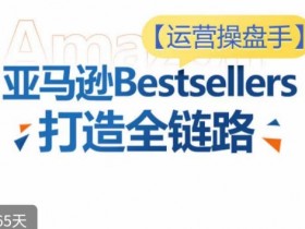 运营操盘手！亚马逊Bestsellers打造全链路，选品、Listing、广告投放全链路进阶优化