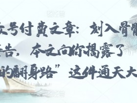 某公众号付费文章：刻入骨髓的天机: 警告，本文向你揭露了 “普通人的翻身路” 这件通天大事