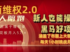 电商维权 4.0 如何做到月入 5 万+每天 1 小时新人也能快速上手【仅揭秘】