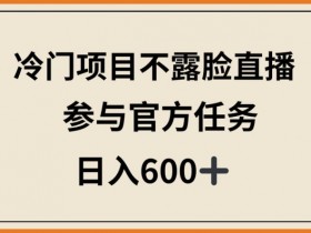 冷门项目不露脸直播，参与官方任务，日入600+【揭秘】