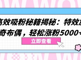 两个高效吸粉秘籍揭秘：特效加持与神奇布偶，轻松涨粉5000+【揭秘】