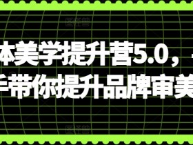 自媒体美学提升营5.0，手把手带你提升品牌审美