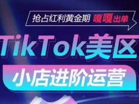 TikTok Shop美区小店进阶运营，抢占红利黄金期 嘎嘎出单