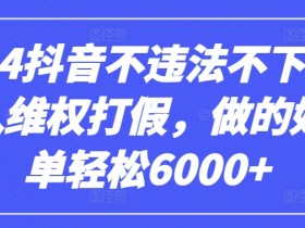 2024抖音不违法不下单0投入维权打假，做的好一单轻松6000+【仅揭秘】