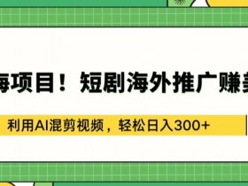 蓝海项目!短剧海外推广赚美金，利用AI混剪视频，轻松日入300+【揭秘】