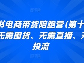 小红书电商带货陪跑营(第十一期)，无需囤货、无需直播、无需投流