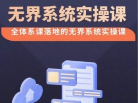 无界系统实操课【38节完整版】，全体系落地无界改版后选择、出价、高投产做付费引流
