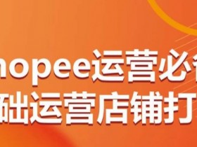Shopee运营必备基础运营店铺打造，多层次的教你从0-1运营店铺