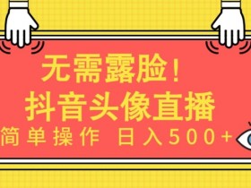 无需露脸，Ai头像直播项目，简单操作日入500+【揭秘】