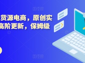 拼多多无货源电商，原创实操技术+高阶更新，保姆级教程