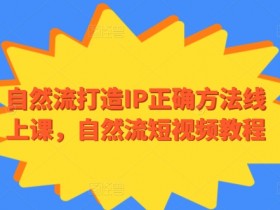 自然流打造IP正确方法线上课，自然流短视频教程