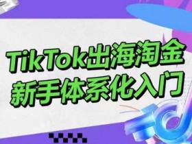 TikTok出海淘金，新手体系化入门，零基础快速入门，掌握短视频、直播带货等引流到变现的知识