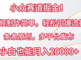 小众赛道掘金，视频制作简单，轻松引爆流量，条条原创，多平台发布【揭秘】