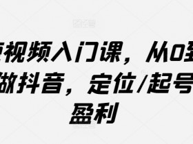短视频入门课，从0到1做抖音，定位/起号/盈利