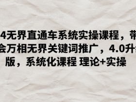 2024无界直通车系统实操课程，带你学会万相无界关键词推广，4.0升级版，系统化课程 理论+实操