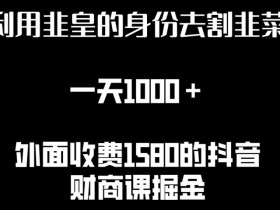 利用非皇的身份去割韭菜，一天1000+(附详细资源)【揭秘】