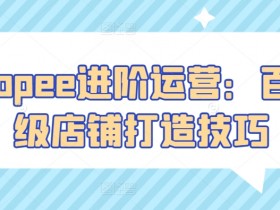 Shopee进阶运营：百万级店铺打造技巧