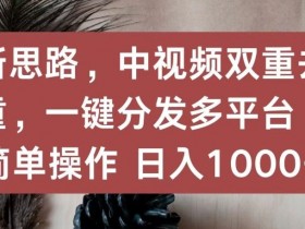 新思路，中视频双重去重，一键分发多平台，简单操作，日入1000+【揭秘】