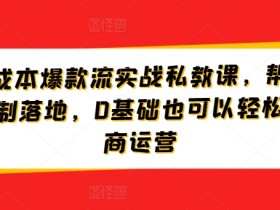 淘宝低成本爆款流实战私教课，帮助商家快速复制落地，0基础也可以轻松搞定电商运营