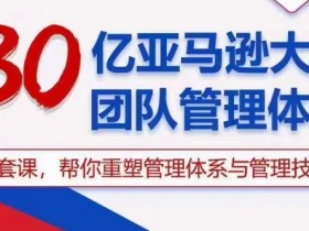 30亿亚马逊大卖团队管理体系，一套课帮你重塑管理体系与管理技巧