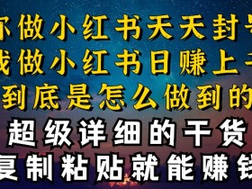 都知道小红书能引流私域变现，可为什么我能一天引流几十人变现上千，但你却频频封号违规被限流【揭秘】