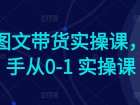 Ai图文带货实操课，新手从0-1 实操课