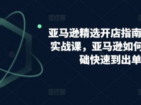 亚马逊精选开店指南，选品实战课，亚马逊如何从0基础快速到出单