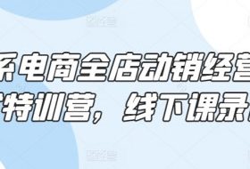 淘系电商全店动销经营模式特训营，线下课录音