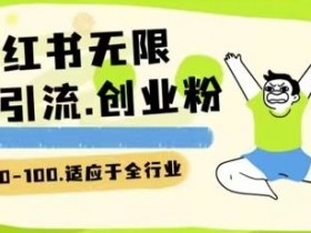 小红书一天引流一二百创业粉技术 可引全行业精准粉玩法【揭秘】
