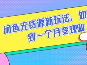 闲鱼无货源新玩法，如何做到一个月变现5W【揭秘】