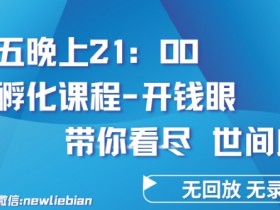 4.26日内部回放课程《项目孵化-开钱眼》赚钱的底层逻辑【揭秘】