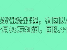 2024最新截流课程，有团队做截流一个月35万利润，团队4个人