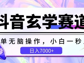 抖音玄学赛道，简单无脑，小白一秒上手，日入7000+【揭秘】