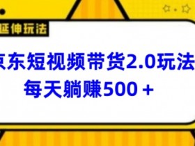 2024最新京东短视频带货2.0玩法，每天3分钟，日入500+【揭秘】