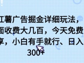 小红薯广告掘金详细玩法，外面收费大几百，小白有手就行，日入300+【揭秘】