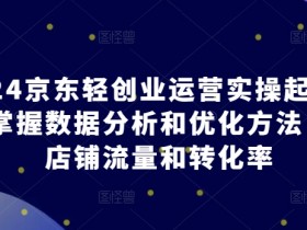 2024京东轻创业运营实操起店课程，掌握数据分析和优化方法，提升店铺流量和转化率