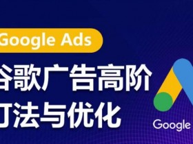 谷歌广告高阶打法与优化，凝结行业精华的谷歌广告体系课程，带你抓住流量红利，最大化ROI