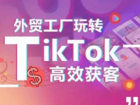 外贸工厂玩转TikTok高效获客，多种引流方式与账号定位技巧，拆解爆款短视频打造成功案例