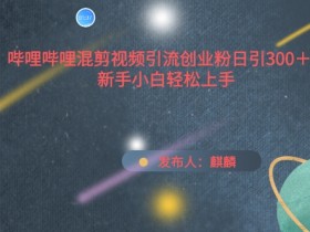 哔哩哔哩混剪视频引流创业粉日引300+，新手小白轻松上手【揭秘】